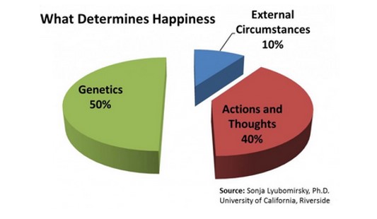 What determines happiness