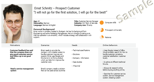 Customer service buyer persona example